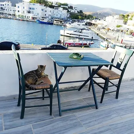 Yacht Front - No 1 *